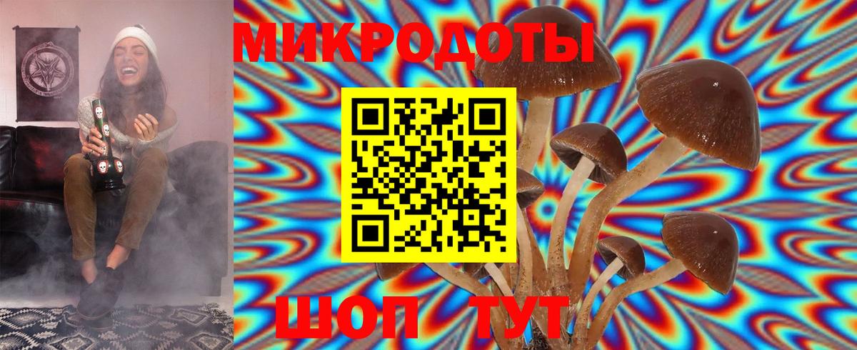 Черкесск  Псилоцибиновые грибы MAGIC MUSHROOMS  Галлюциногенные грибы Psilocybine cubensis  Вход с VPN 
