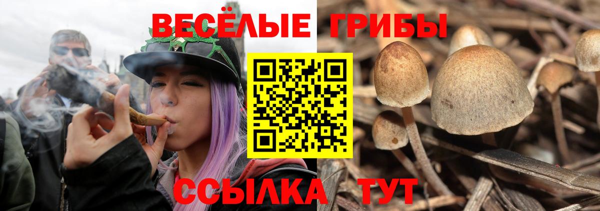 Галлюциногенные грибы ЛСД Черкесск